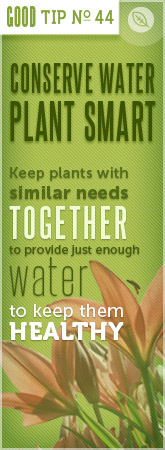 Tip 44 Keeps Plants with Similar Needs Together